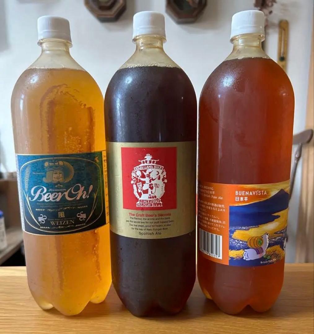 DreamBeer ドリームビア クラフトビール3本セット 13,150円相当