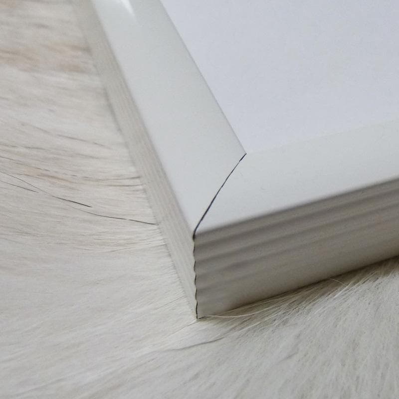 額装品/つたの花/アンリ マティス/ポスター/アート/インテリア