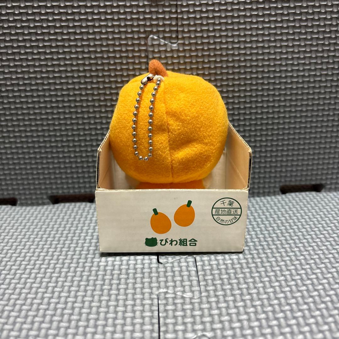 【激レア】ハローキティ ご当地 千葉 びわ ぬいぐるみ マスコット