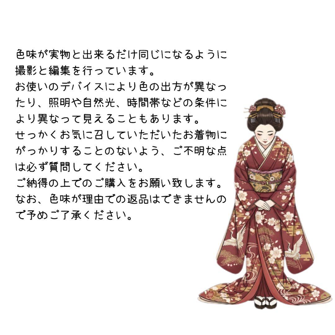 上質　振袖フルセット　手挿し友禅　古典柄　トールサイズ　168cmまで
