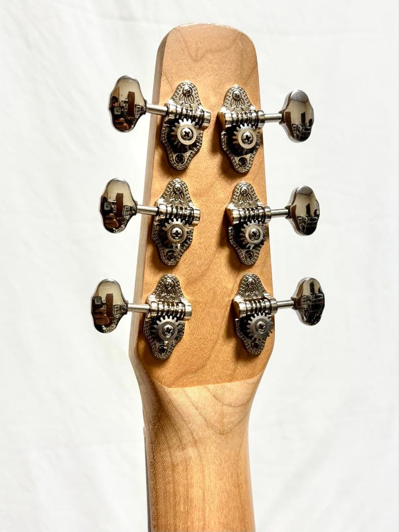 【新品弦張替済】Seagull エレアコ Amber Trail SG T35