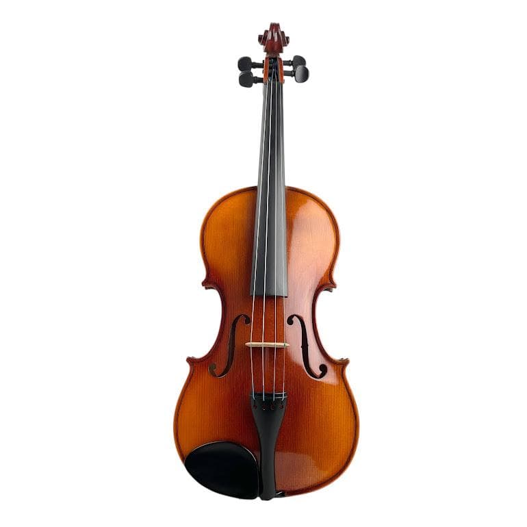 極美品●HORA● Reghin 4/4 2005年製 ホラ レギン バイオリン