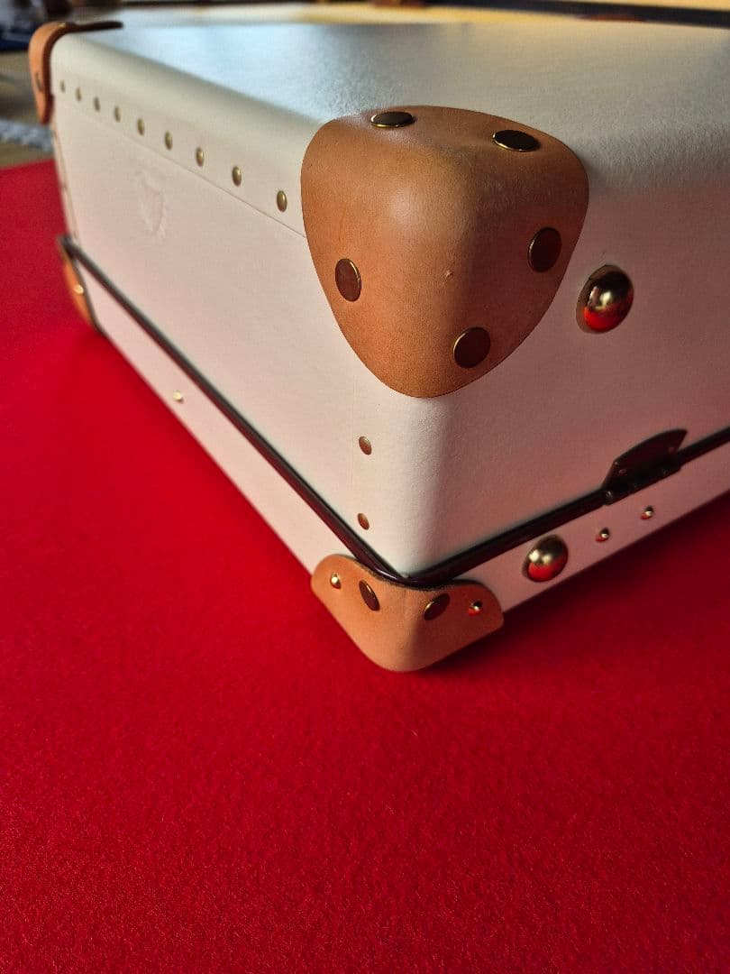 グローブトロッター「サファリ」エアキャビン