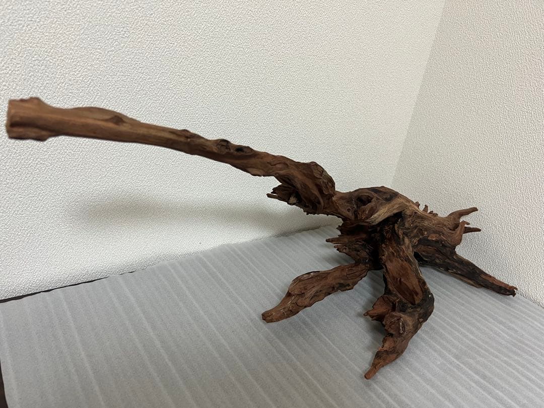 HX-080 流木　ホーンウッド　マシンガンウッド　アクアリウム　ブランチウッド