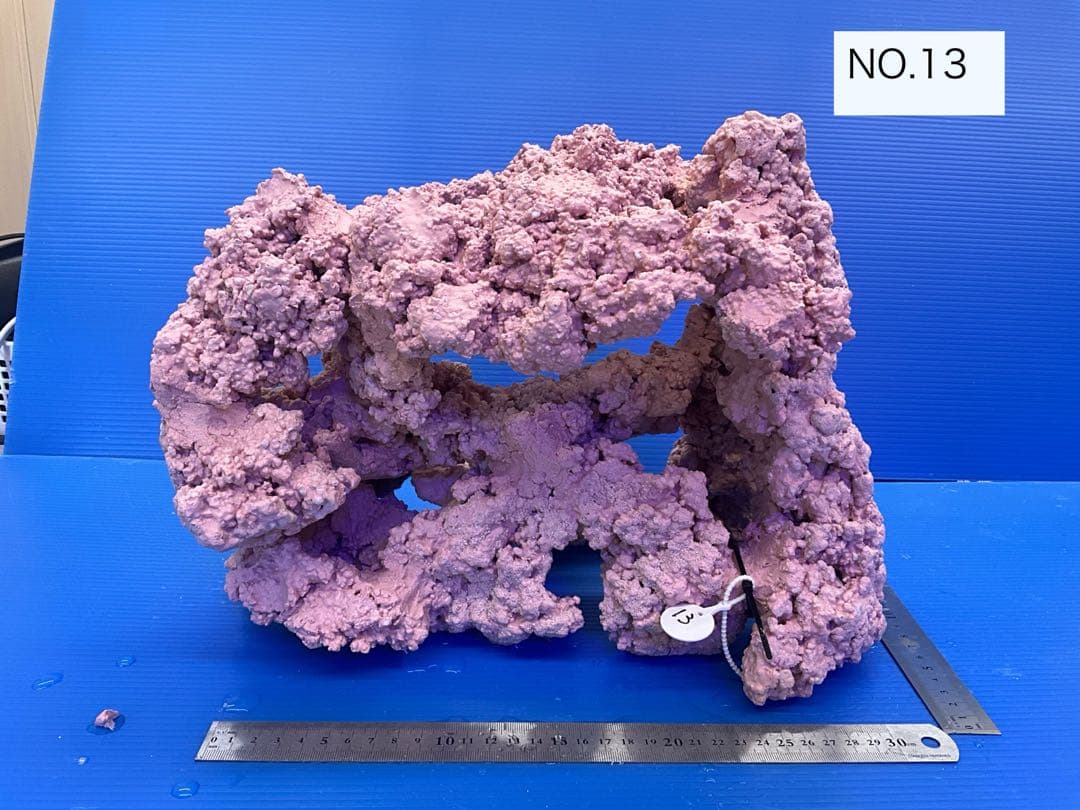 人工ライブロック　No.13 アク抜き済