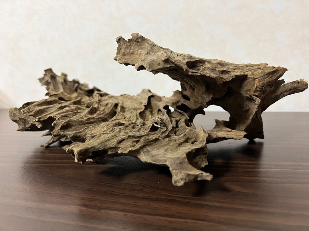 (XM-122)流木　マシンガンウッド　アクアリウム　ブランチウッド　沈水確認済