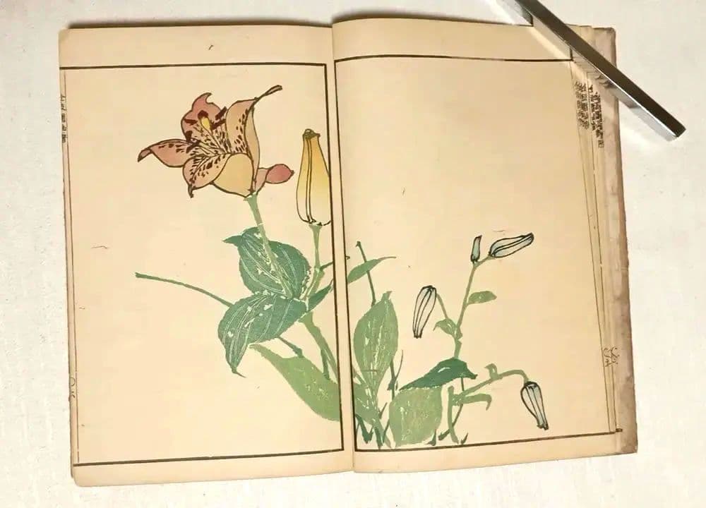 金波園画譜No.2（色刷り木版画本) 河村文鳳画、文化8年出版