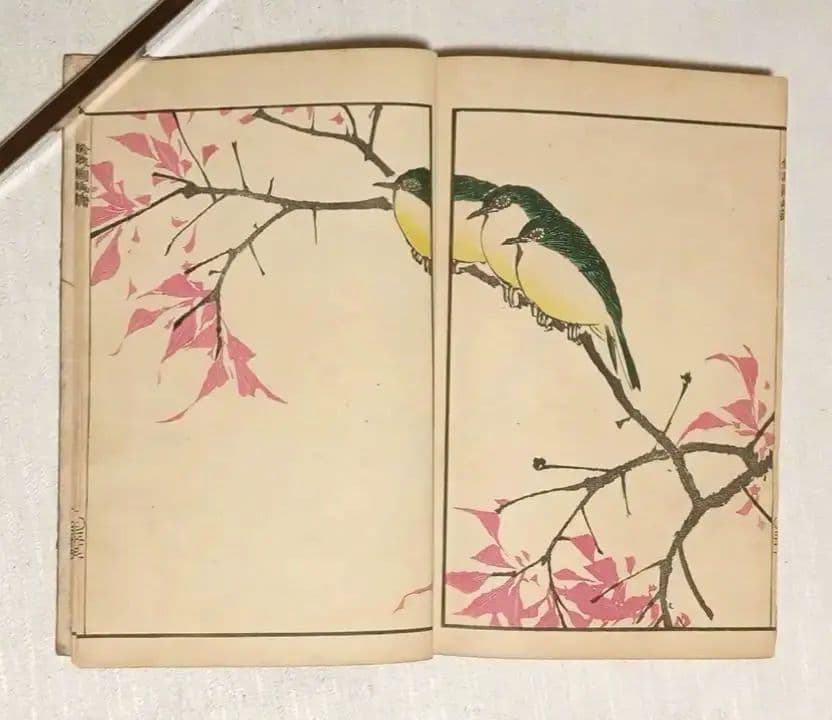 金波園画譜No.2（色刷り木版画本) 河村文鳳画、文化8年出版