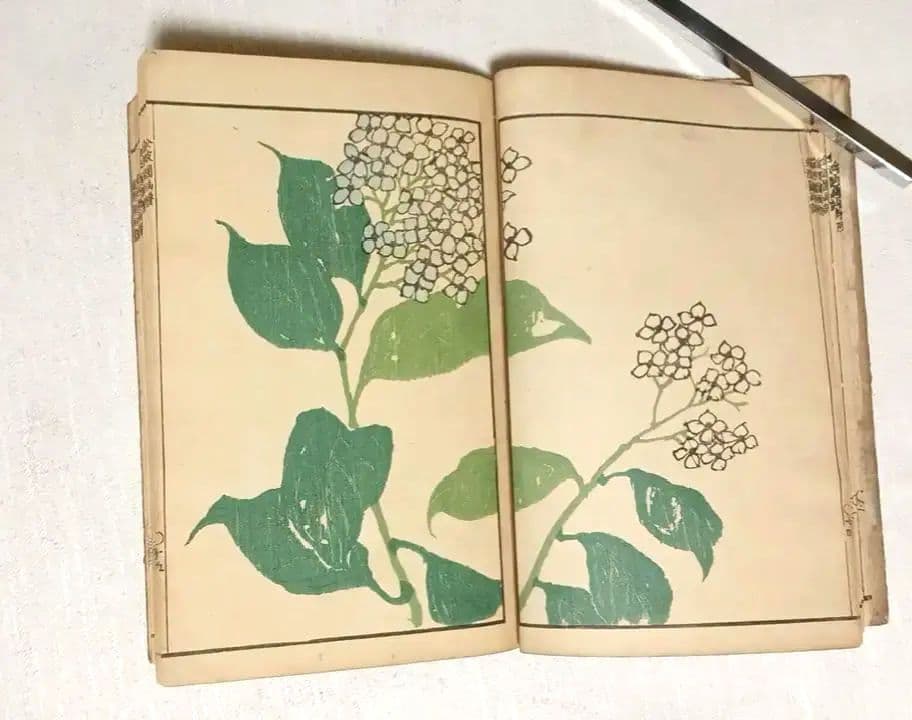 金波園画譜No.2（色刷り木版画本) 河村文鳳画、文化8年出版