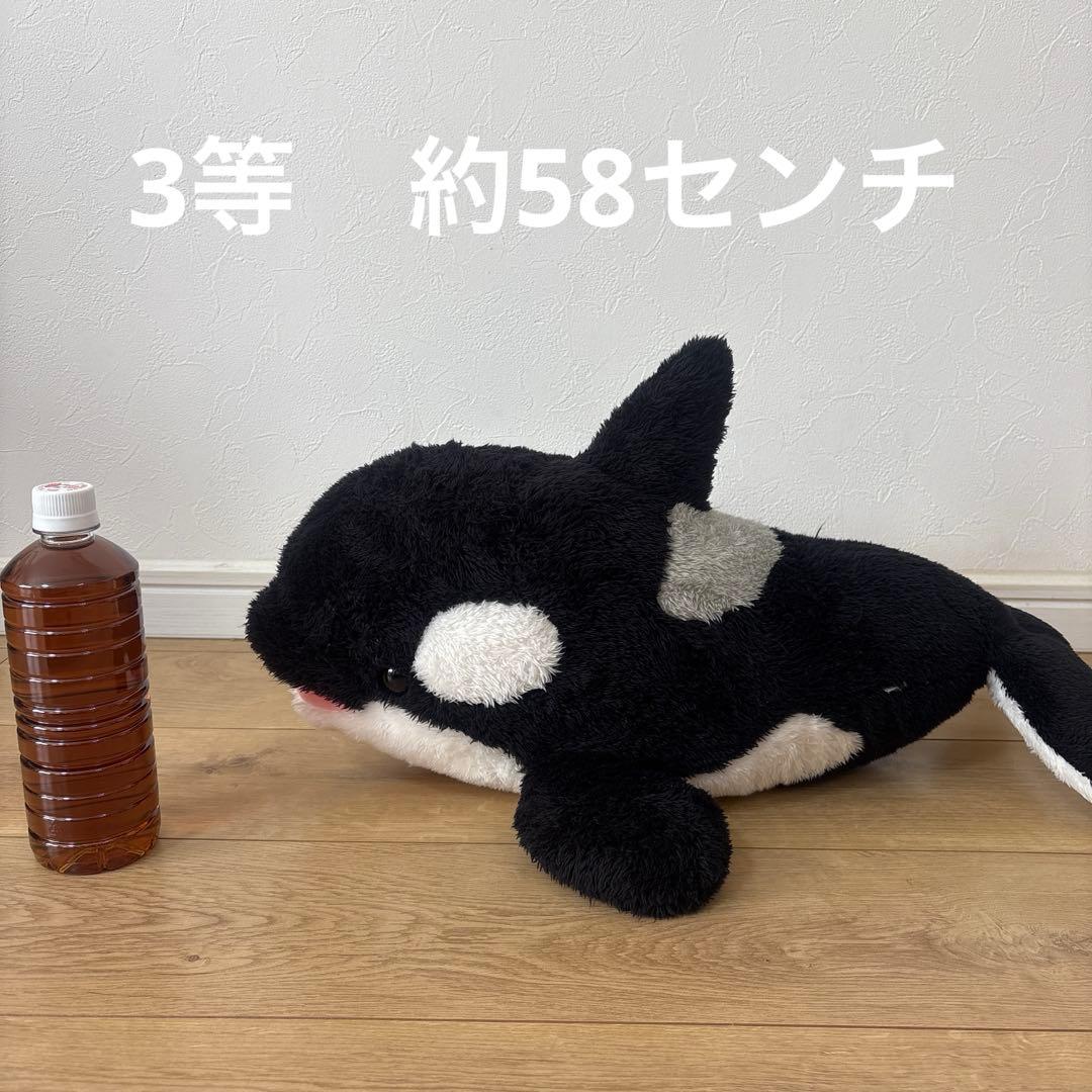 シャチ　ぬいぐるみ4体セット