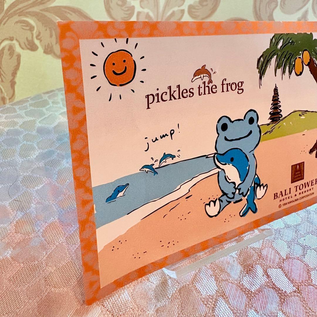 かえるのピクルス イルカのプティ コスチューム ビーンドール バリタワー3