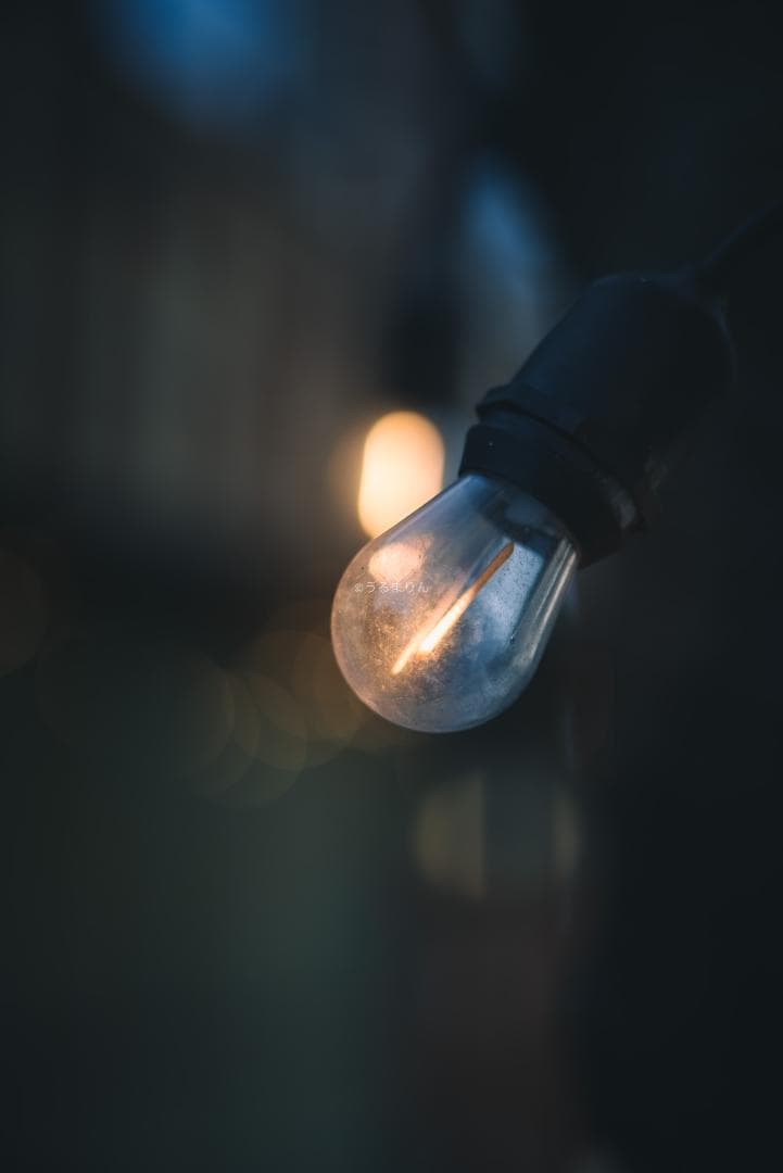 SALE!木村文乃使用モデル！Leica Elmarit 90mm F2.8