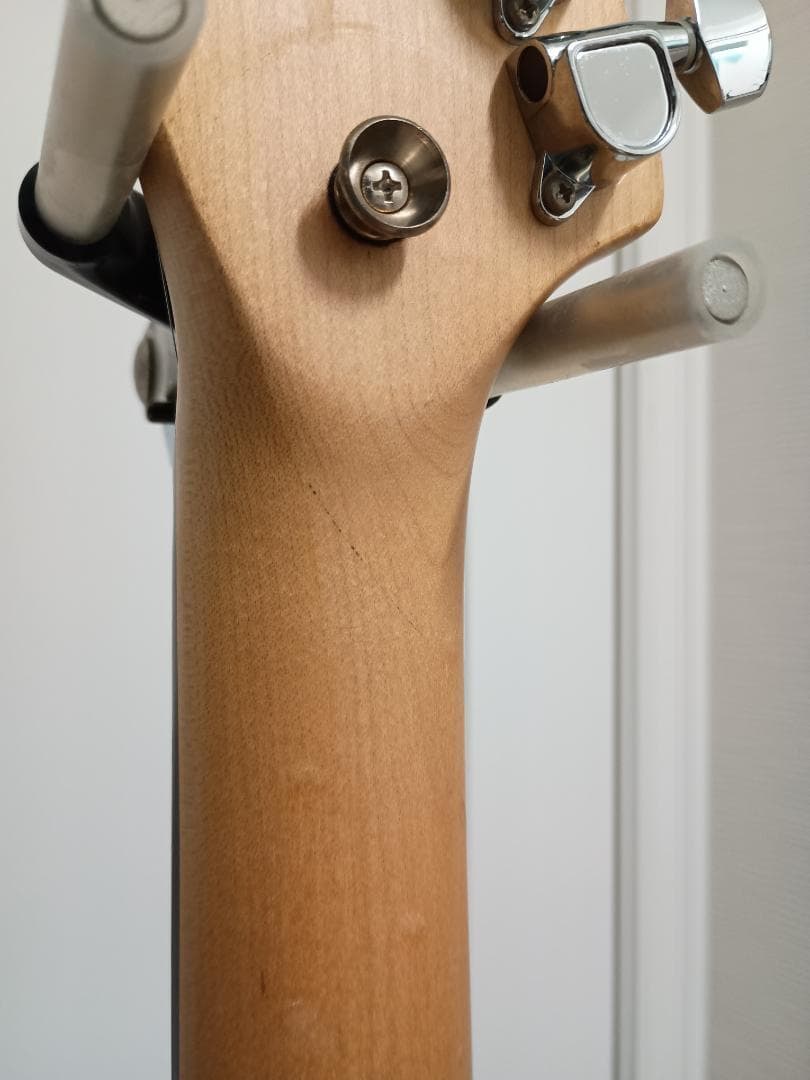 FERNANDES DIGI-ZO HYPER MBS アンプ、エフェクター内蔵