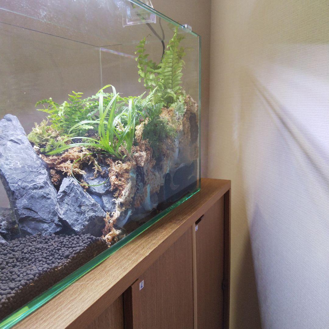 【受注生産】アクアテラリウム　イモリウム　苔　水槽　苔テラリウム