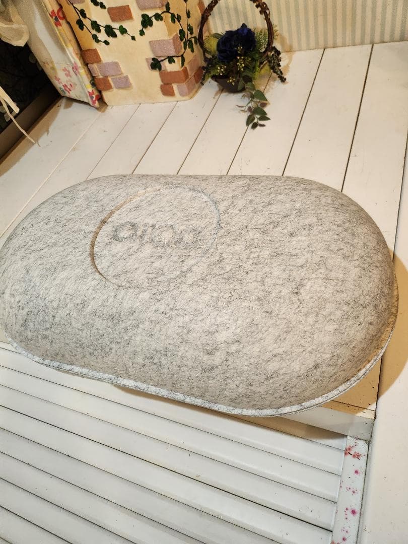 ソニーAIBO ERS-1000