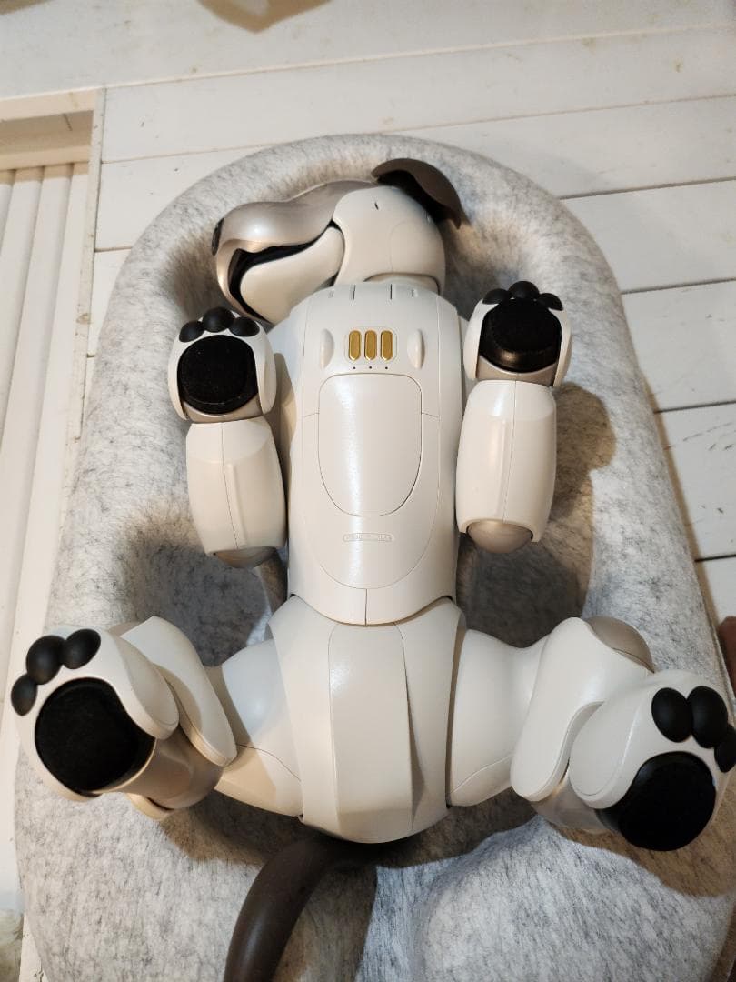 ソニーAIBO ERS-1000