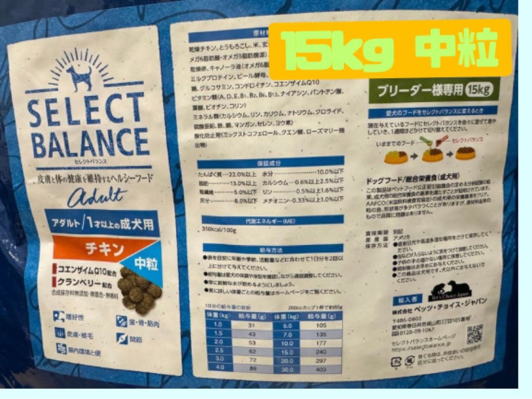 チャミナー