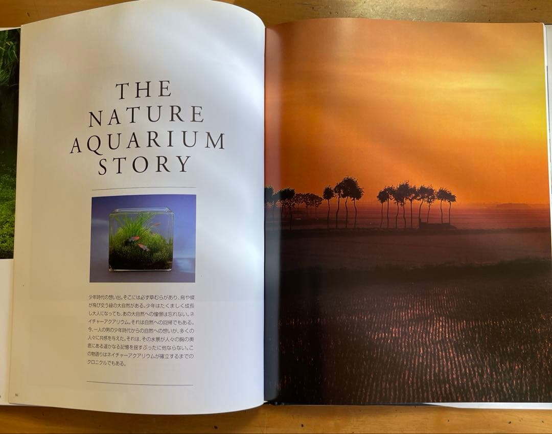 THE NATURE AQUARIUM ADA CONCEPT 1995年発行