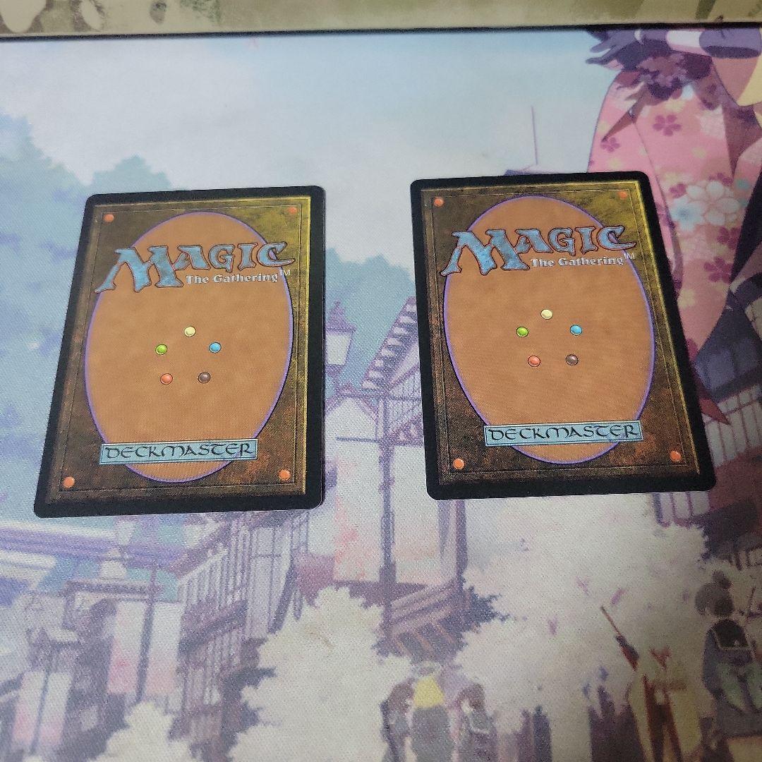 MTG 不毛の大地