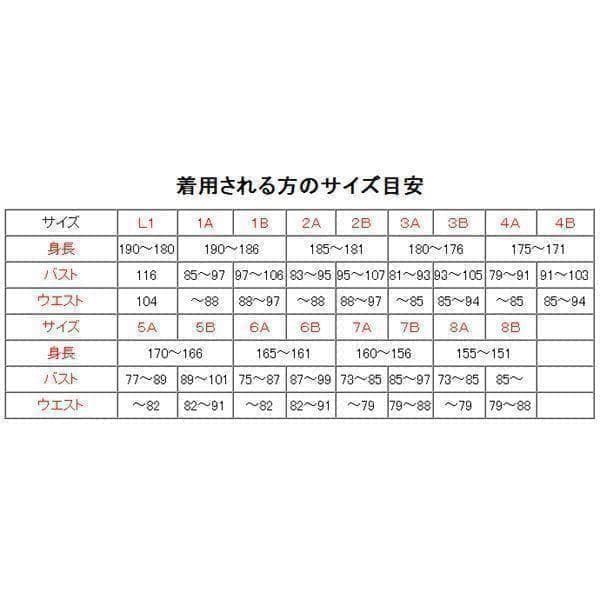 陸上自衛隊 リップストップ 迷彩服 ４A×２