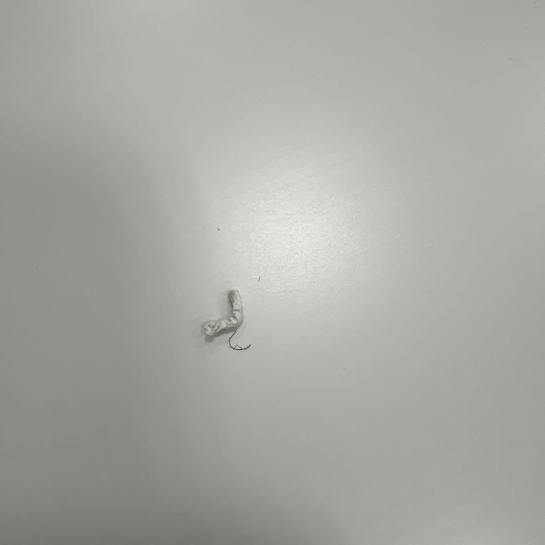 髪の毛