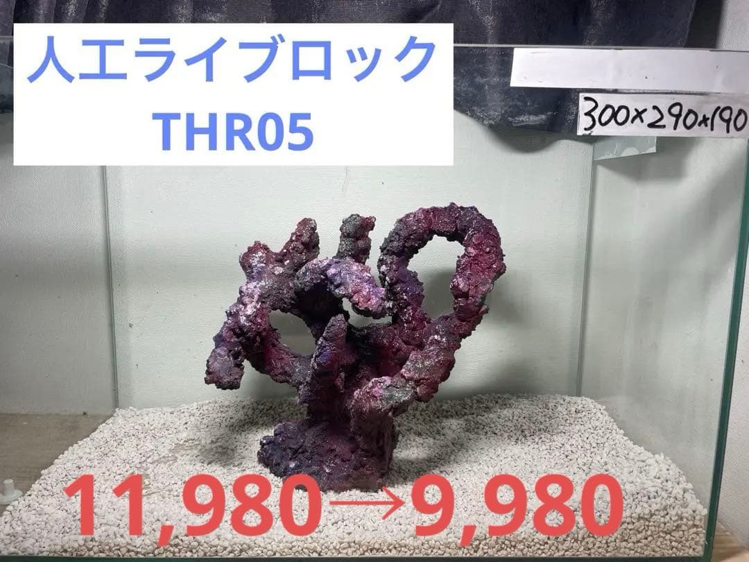 人工ライブロック　THR05 アク抜き済み安心塗料使用