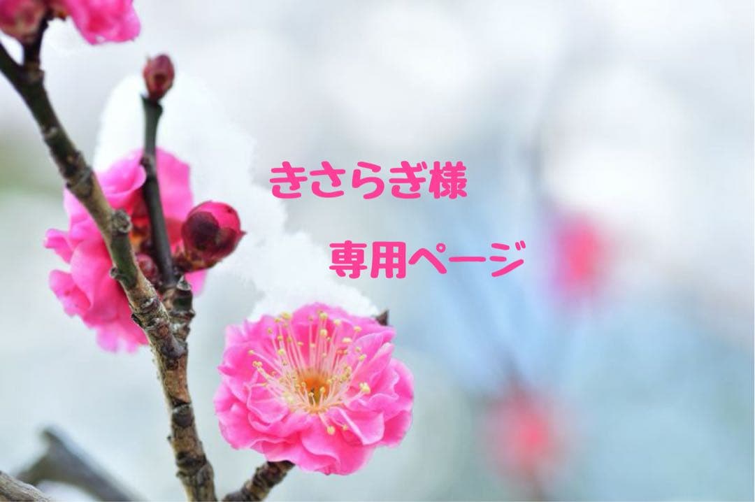 きさらぎ様 ♡ 専用ページ