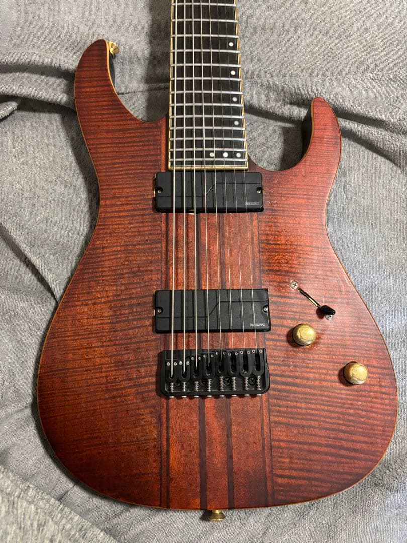 ギター SCHECTER Banshee Elite 8(Fishmanpickup)