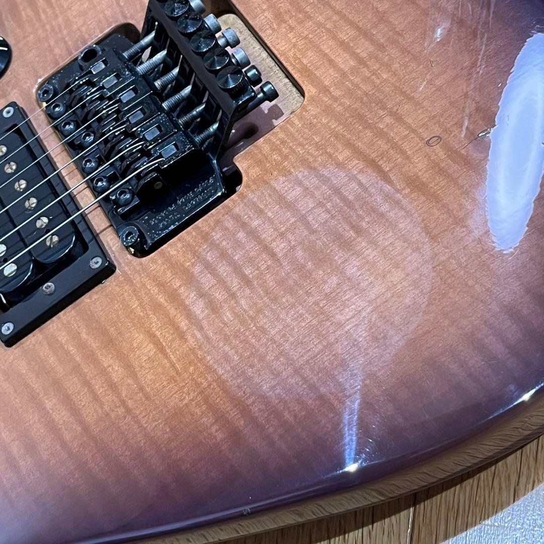 m*n様 Chatting Bird by Caparison ディンキータイプ