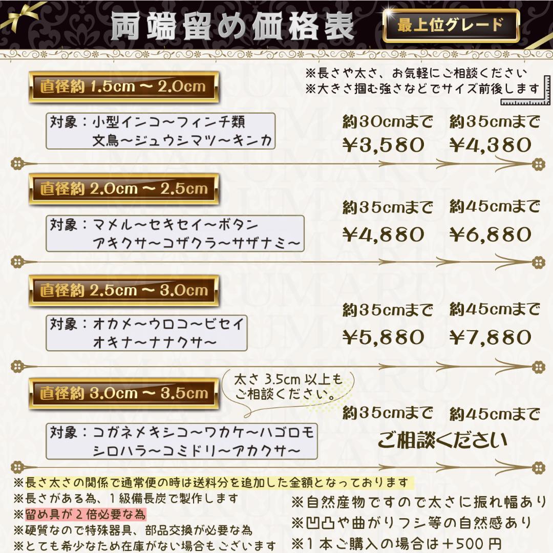 止まり木 Yki24