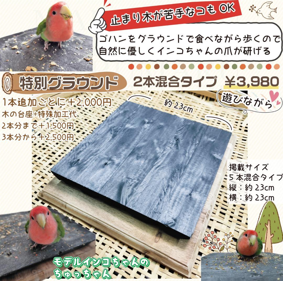 止まり木 Yki24