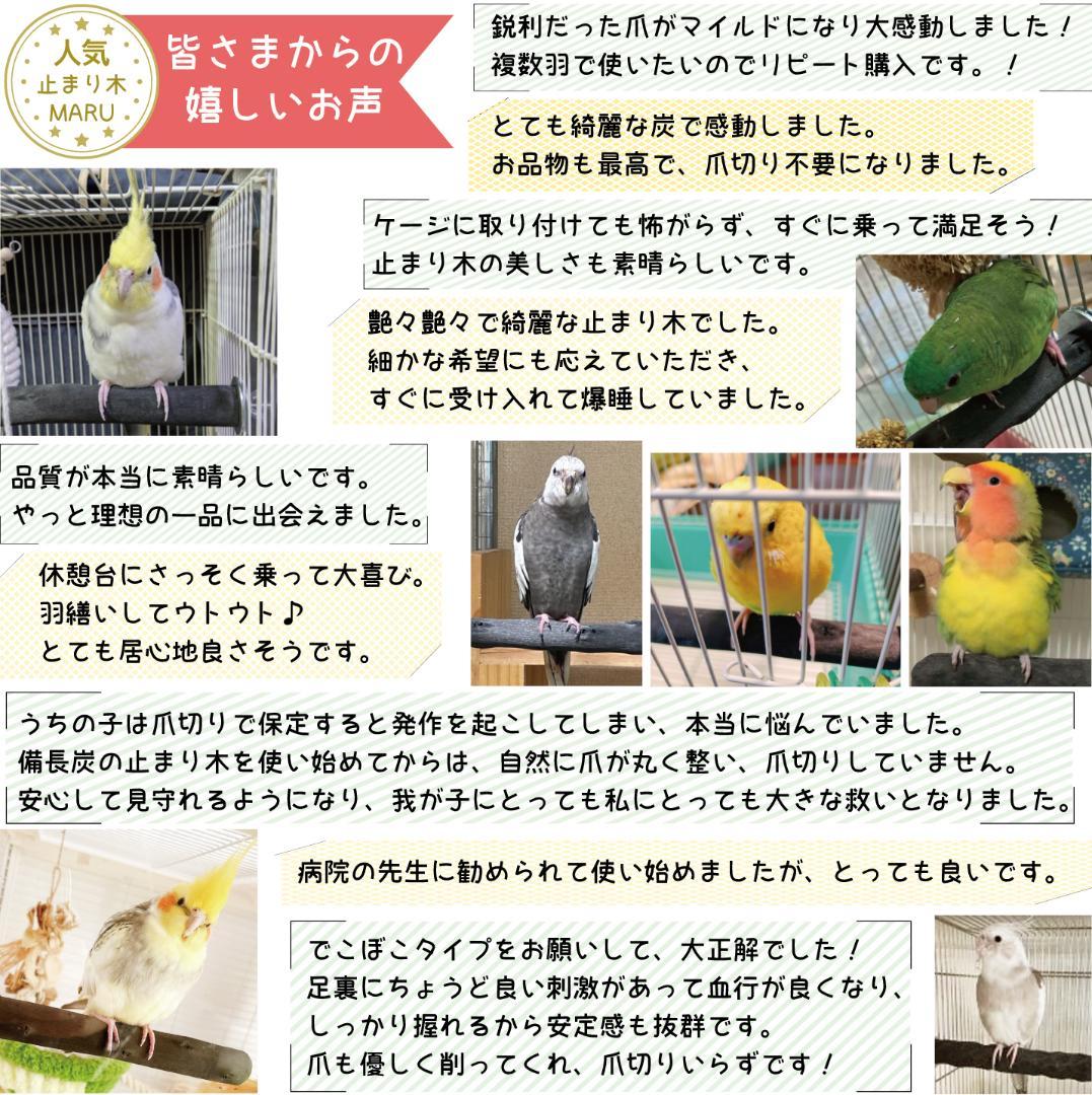 止まり木 Yki24