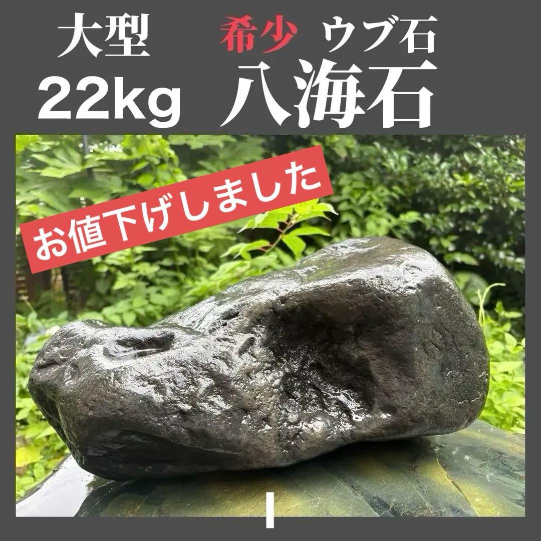 【お値下げ！希少 大型八海山石22.1kg ウブ石】アクアリウム 親石　ジャグレ