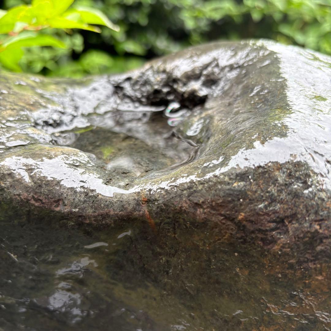 【お値下げ！希少 大型八海山石22.1kg ウブ石】アクアリウム 親石　ジャグレ