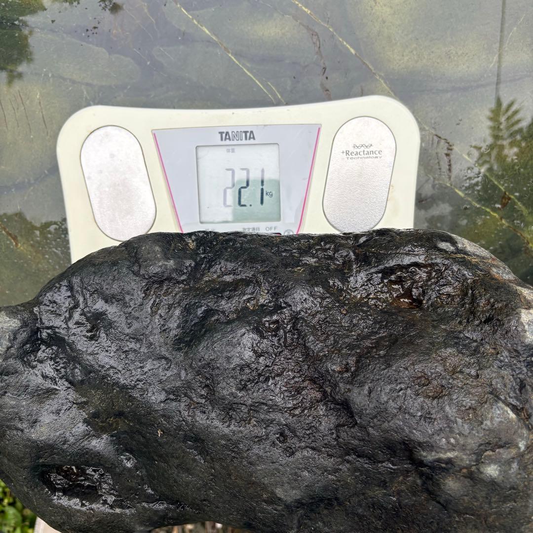 【お値下げ！希少 大型八海山石22.1kg ウブ石】アクアリウム 親石　ジャグレ