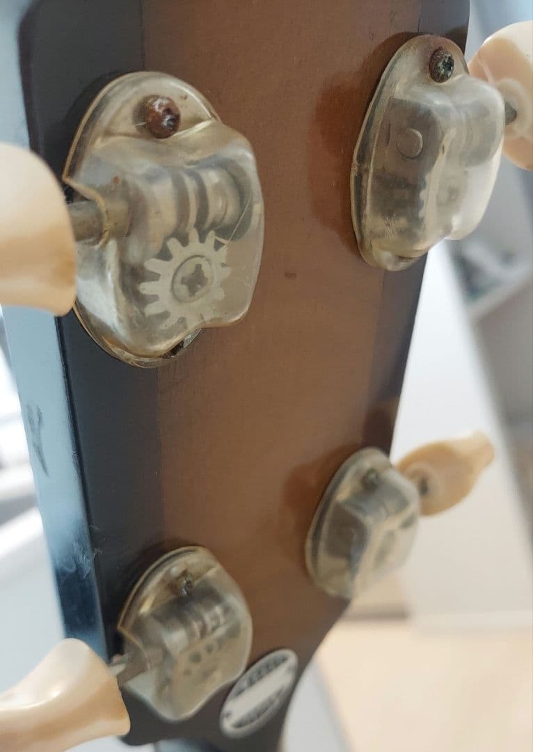 Nardan バンジョー