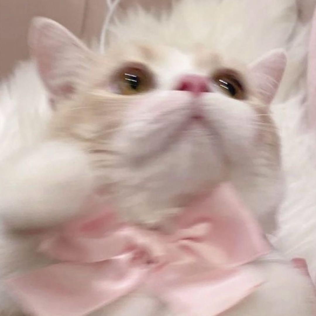 。