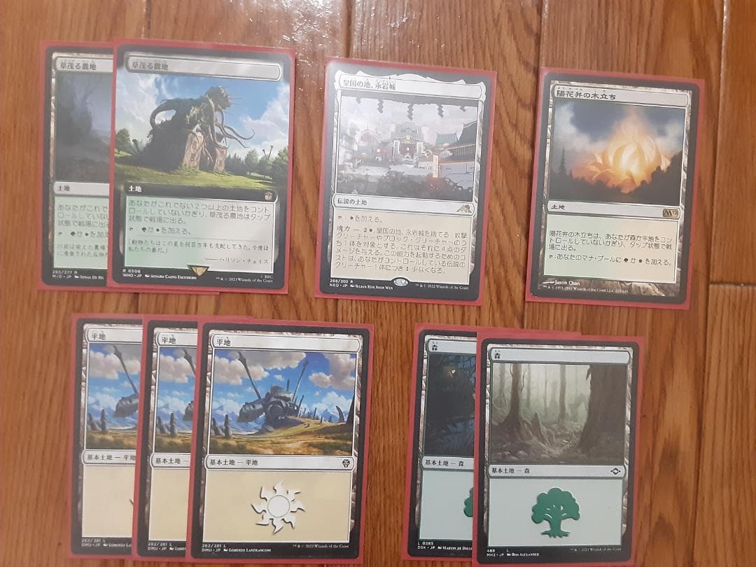 MTG パイオニア 呪禁オーラ デッキ まとめ売り 寺院の庭等