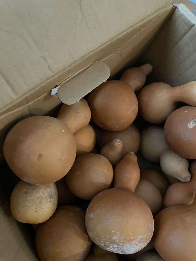 【40個】ひょうたん　瓢箪　千成瓢箪　まとめ売り　無病息災　置物　縁起物(I)