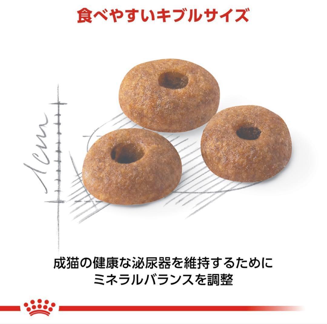 ２個セット ロイヤルカナン フィット 猫用 2kg 期限１年以上（27.2.6）