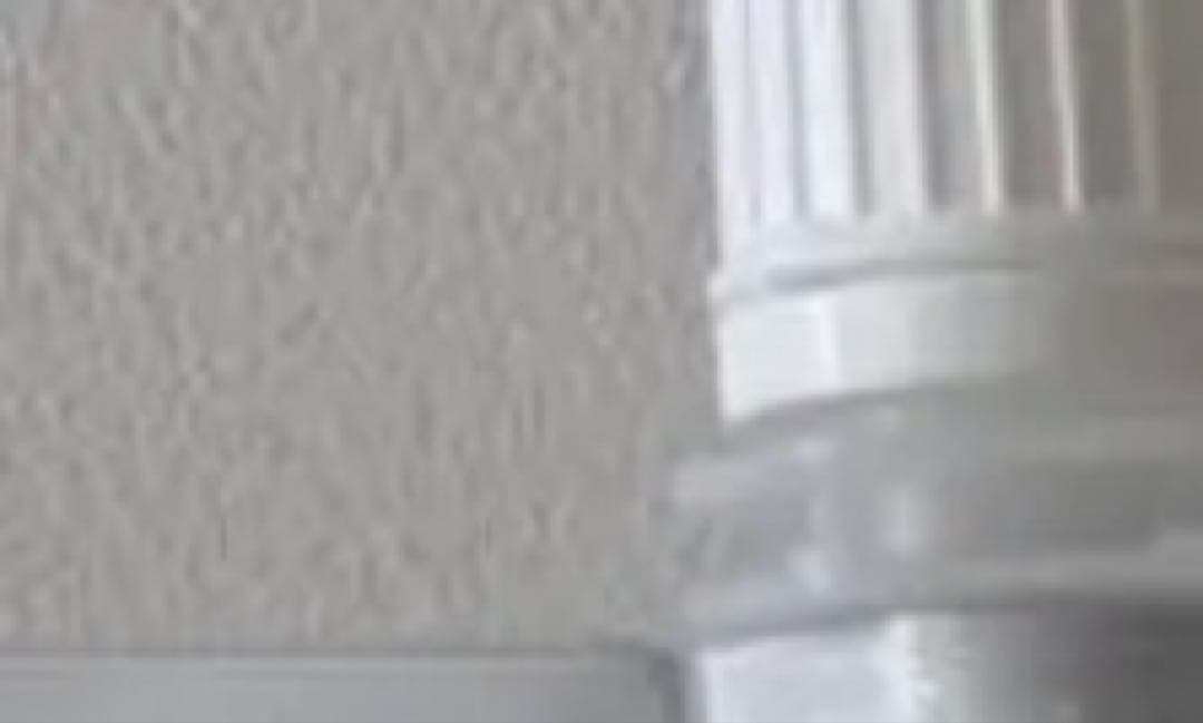 のんたん様