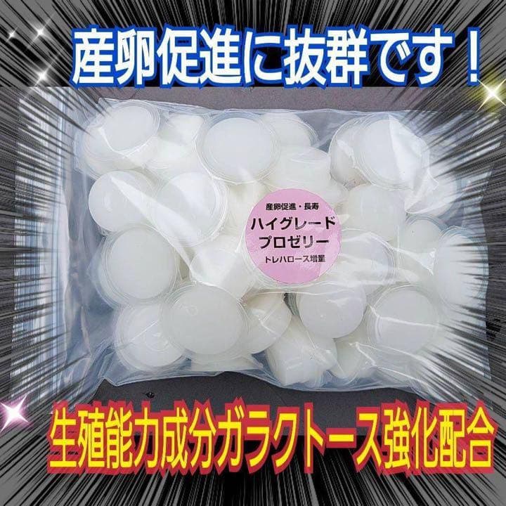 特選ハイグレードプロゼリー400個　産卵促進・長寿に抜群！食べやすいワイドカップ