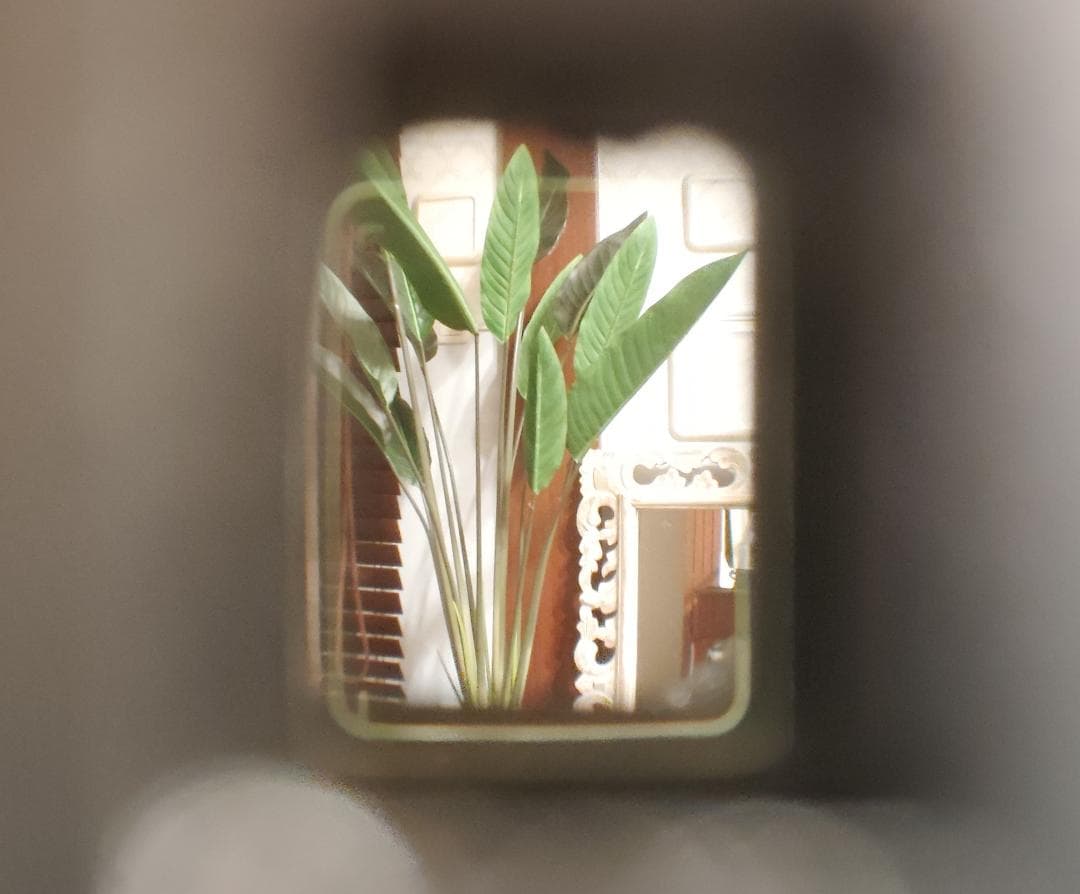 整備済 オリンパス OLYMPUS PEN-D コンパクトハーフフィルムカメラ