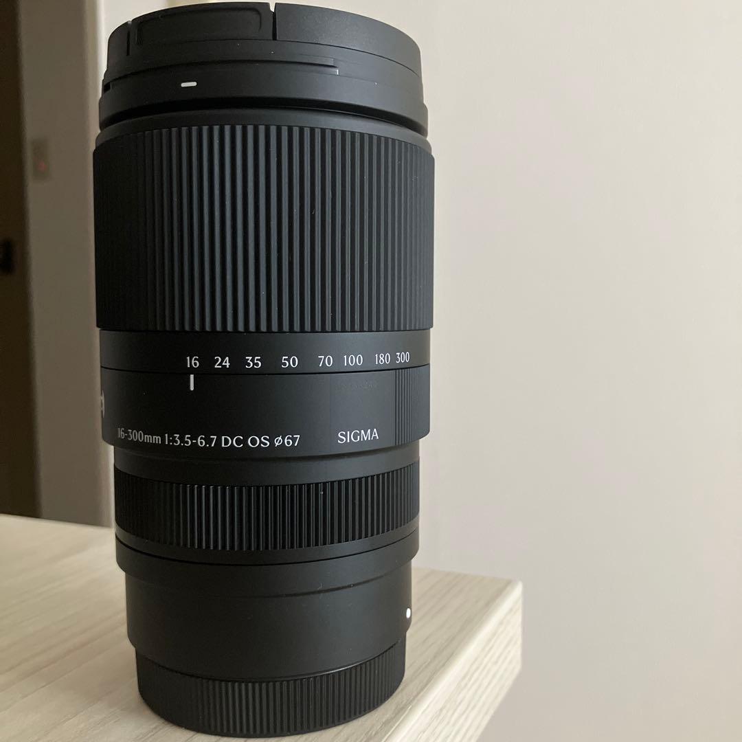 sigma 16-300mm f3.5-6.7 DC OS Lマウント