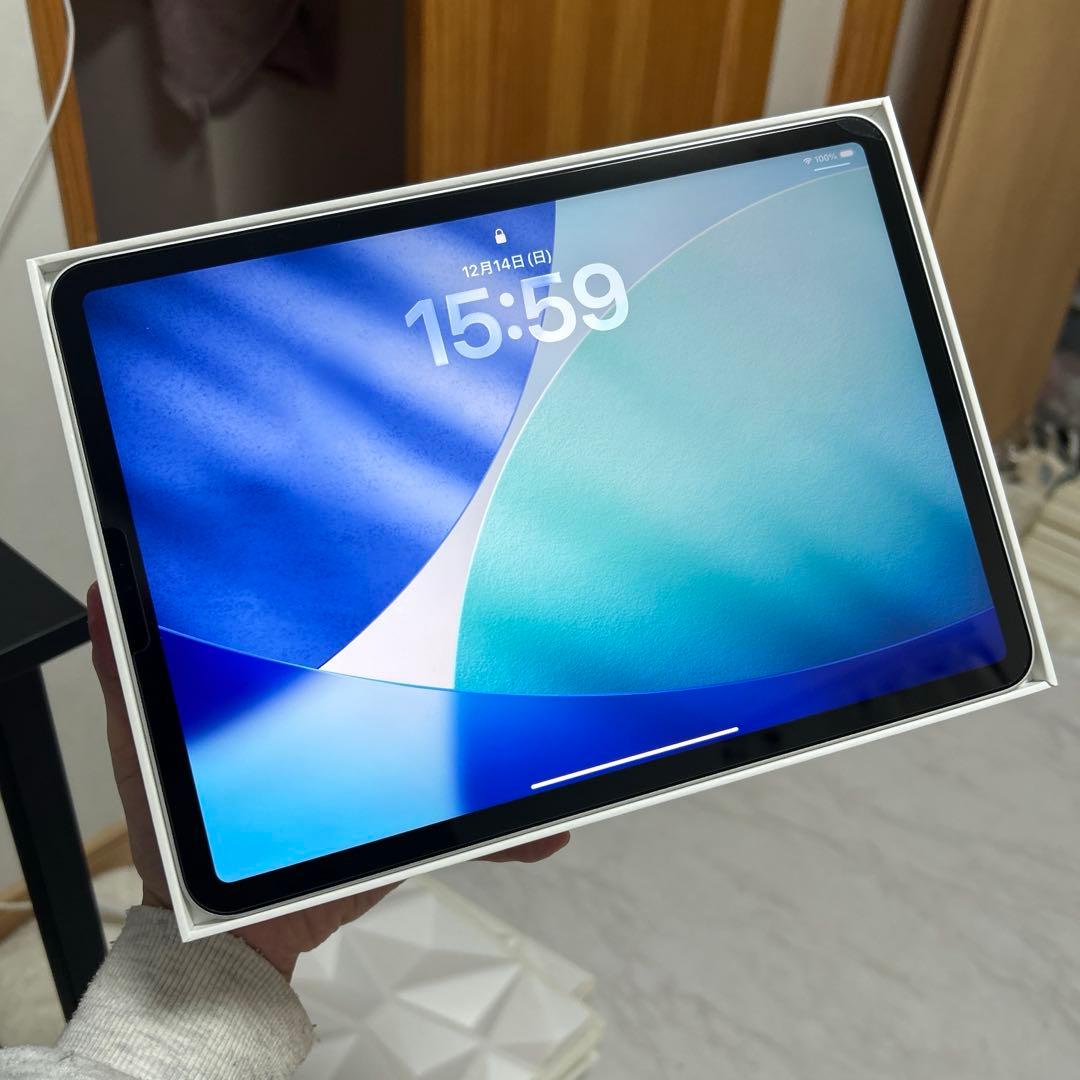 美品　iPad Pro 11インチ　第2世代　256GB Wi-Fiモデル