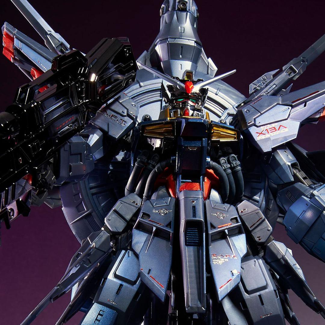 2個セット MG 1/100 プロヴィデンスガンダム [スペシャルコーティング]