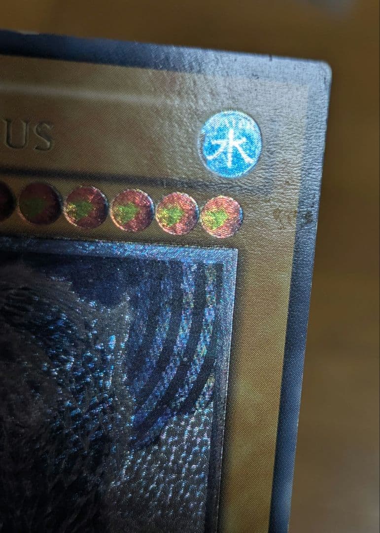 遊戯王 フロストザウルス レリーフ その他 セット