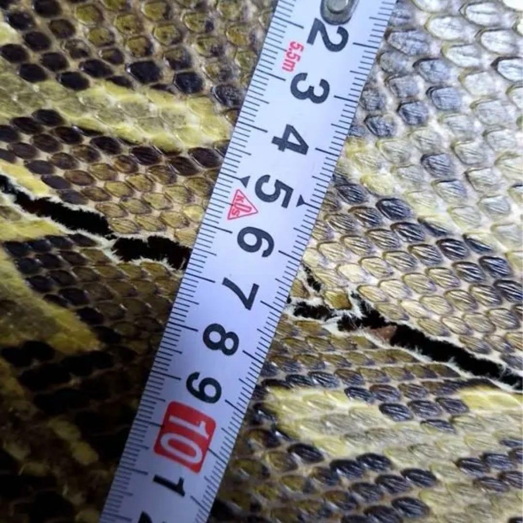 三線　胴 蛇皮（裏側破れ）【ケース付き】 訳あり