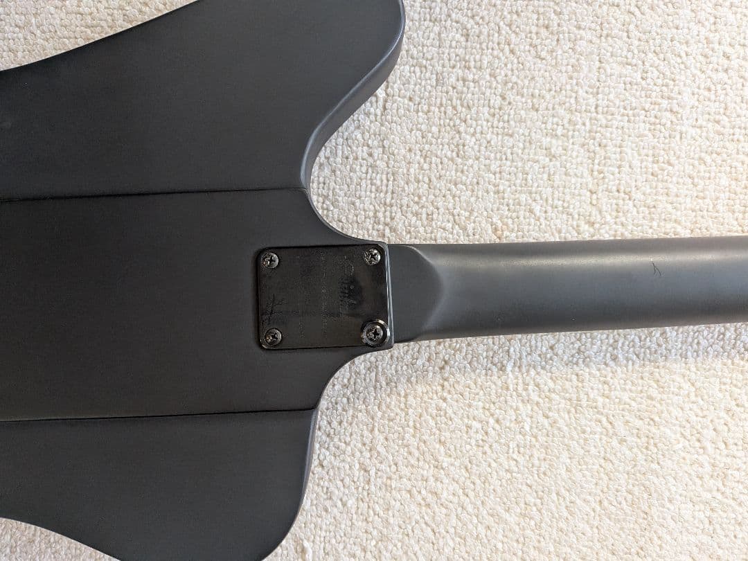 Epiphone ブラックバード　ニッキーシックス　サンダーバード