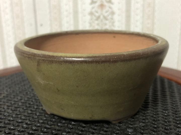 盆栽鉢　美功